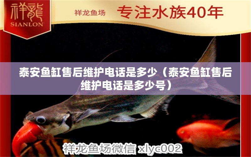 泰安魚(yú)缸售后維護(hù)電話(huà)是多少（泰安魚(yú)缸售后維護(hù)電話(huà)是多少號(hào)）