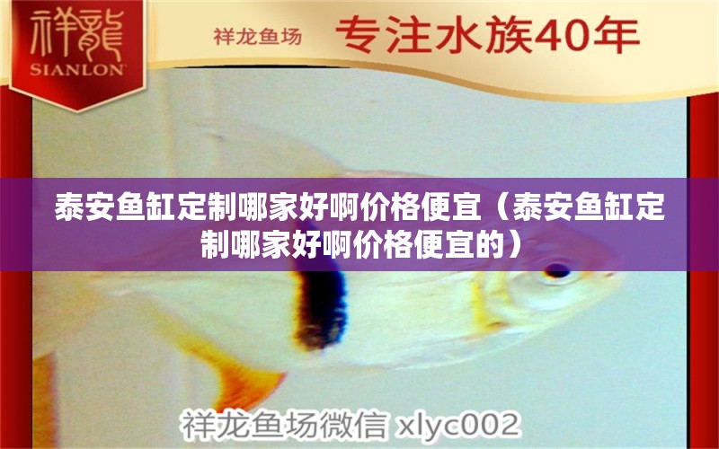 泰安魚缸定制哪家好啊價格便宜（泰安魚缸定制哪家好啊價格便宜的）