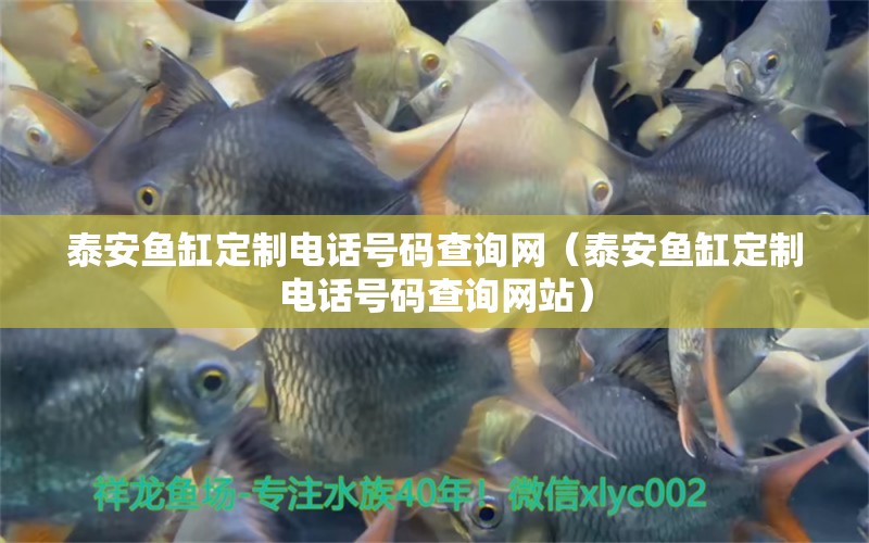 泰安魚(yú)缸定制電話(huà)號(hào)碼查詢(xún)網(wǎng)（泰安魚(yú)缸定制電話(huà)號(hào)碼查詢(xún)網(wǎng)站）