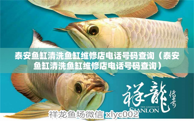 泰安魚缸清洗魚缸維修店電話號碼查詢（泰安魚缸清洗魚缸維修店電話號碼查詢）