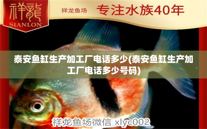 泰安魚缸生產(chǎn)加工廠電話多少(泰安魚缸生產(chǎn)加工廠電話多少號(hào)碼) 喂食器