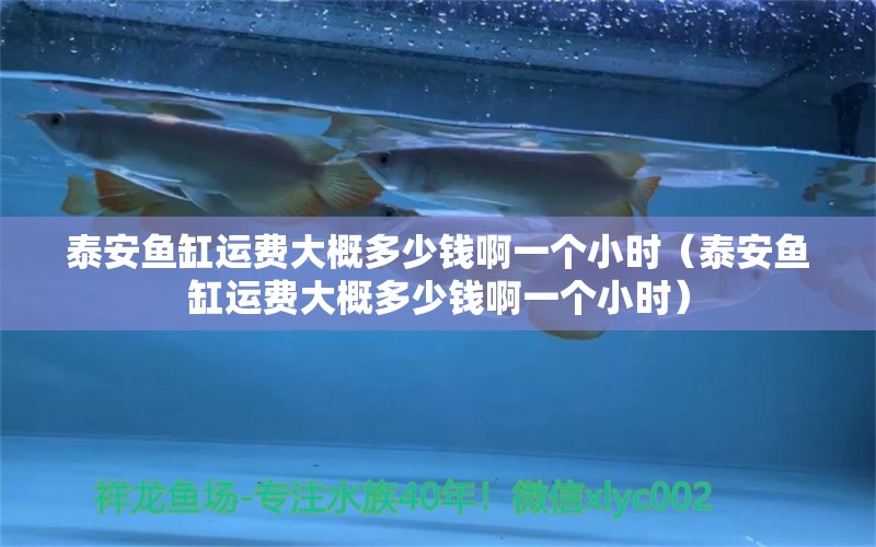 泰安魚缸運費大概多少錢啊一個小時（泰安魚缸運費大概多少錢啊一個小時）