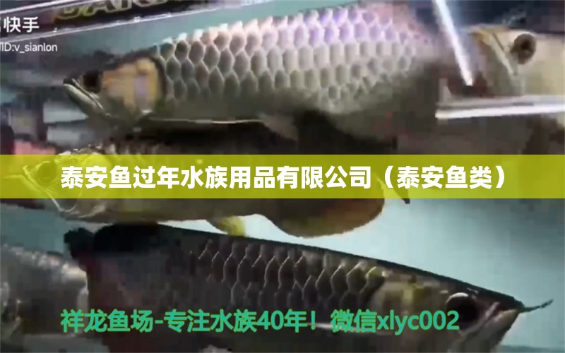 泰安魚(yú)過(guò)年水族用品有限公司（泰安魚(yú)類(lèi)） 水族用品