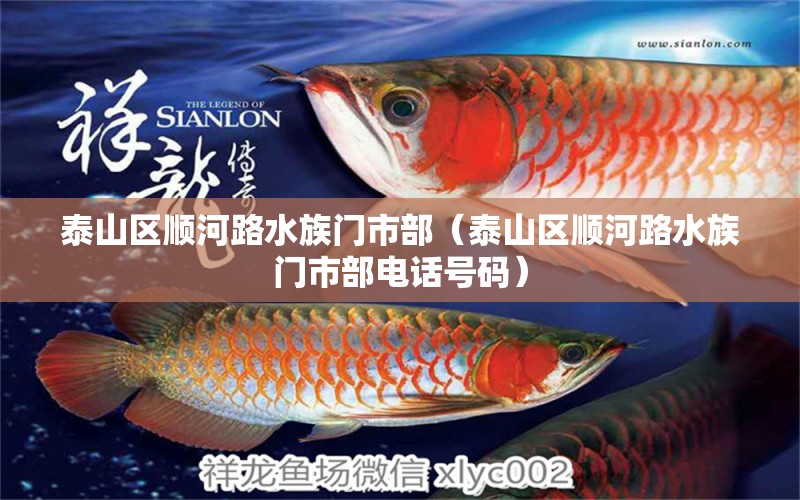 泰山區(qū)順河路水族門市部（泰山區(qū)順河路水族門市部電話號(hào)碼） 全國(guó)水族館企業(yè)名錄