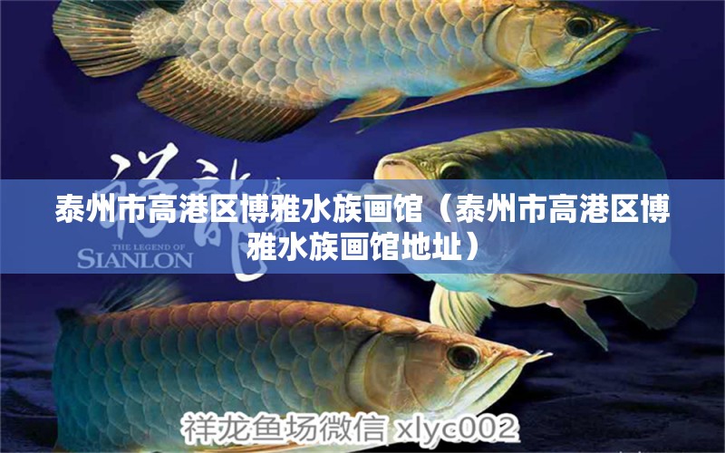 泰州市高港區(qū)博雅水族畫館（泰州市高港區(qū)博雅水族畫館地址）