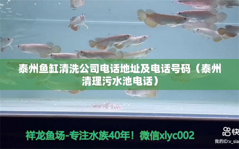 泰州魚缸清洗公司電話地址及電話號(hào)碼（泰州清理污水池電話）