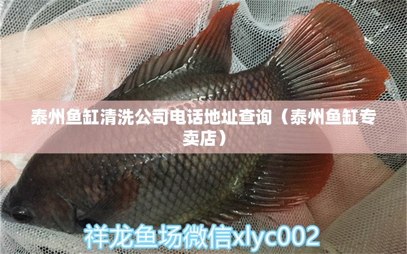 泰州魚缸清洗公司電話地址查詢（泰州魚缸專賣店） 撒旦鴨嘴魚