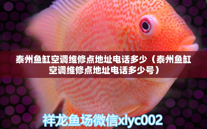 泰州魚缸空調(diào)維修點(diǎn)地址電話多少（泰州魚缸空調(diào)維修點(diǎn)地址電話多少號(hào)）