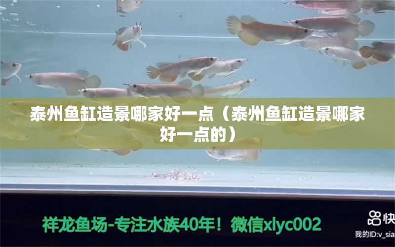 泰州魚缸造景哪家好一點（泰州魚缸造景哪家好一點的）