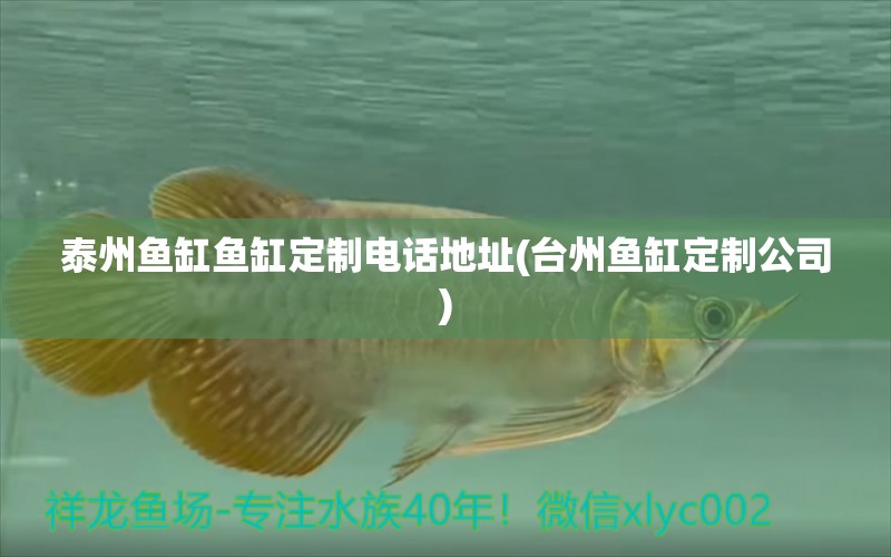 泰州魚缸魚缸定制電話地址(臺州魚缸定制公司) 野彩魚