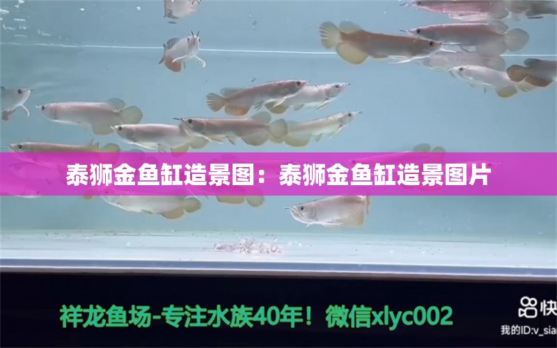 泰獅金魚缸造景圖：泰獅金魚缸造景圖片