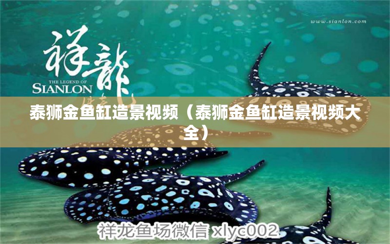 泰獅金魚缸造景視頻（泰獅金魚缸造景視頻大全）