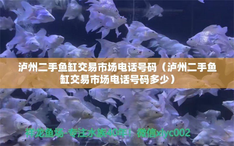 瀘州二手魚(yú)缸交易市場(chǎng)電話(huà)號(hào)碼（瀘州二手魚(yú)缸交易市場(chǎng)電話(huà)號(hào)碼多少）