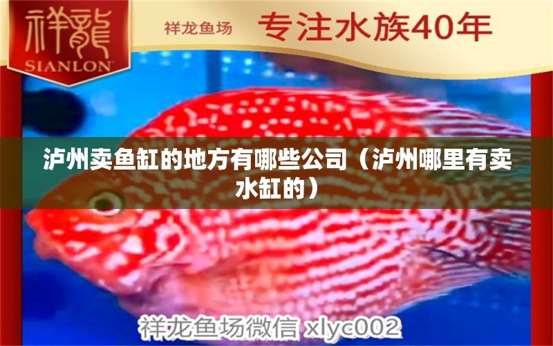 瀘州賣魚(yú)缸的地方有哪些公司（瀘州哪里有賣水缸的）