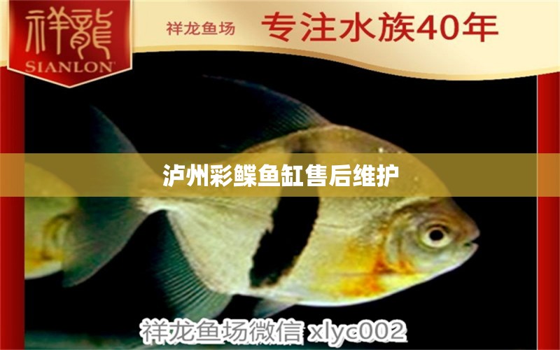 瀘州彩鰈魚缸售后維護 彩鰈魚缸（彩蝶魚缸）