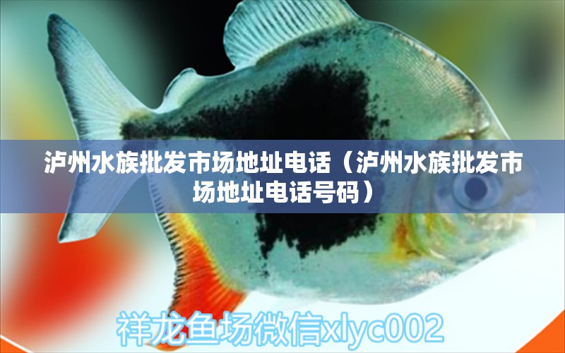 瀘州水族批發(fā)市場(chǎng)地址電話（瀘州水族批發(fā)市場(chǎng)地址電話號(hào)碼） 觀賞魚(yú)水族批發(fā)市場(chǎng)