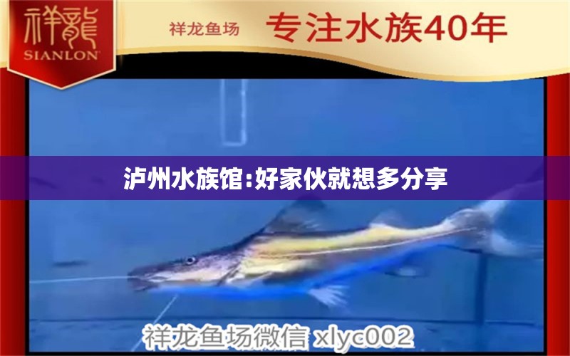 瀘州水族館:好家伙就想多分享 丹頂錦鯉魚(yú)