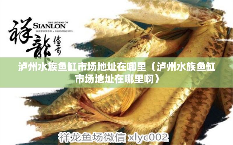 瀘州水族魚缸市場地址在哪里（瀘州水族魚缸市場地址在哪里?。? title=