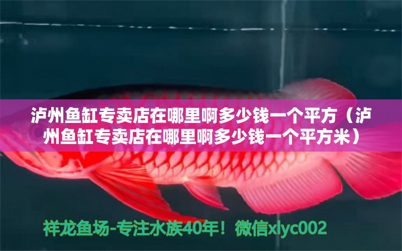 瀘州魚缸專賣店在哪里啊多少錢一個(gè)平方（瀘州魚缸專賣店在哪里啊多少錢一個(gè)平方米）