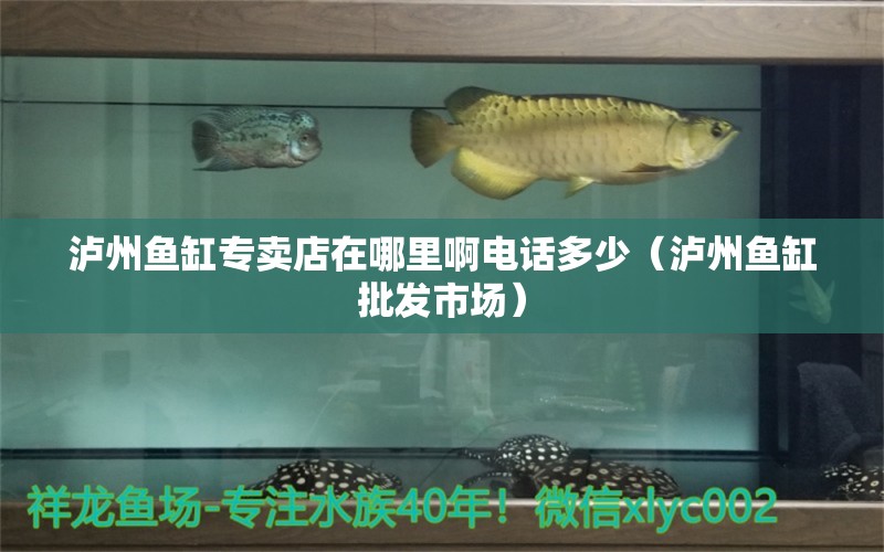 瀘州魚(yú)缸專(zhuān)賣(mài)店在哪里啊電話(huà)多少（瀘州魚(yú)缸批發(fā)市場(chǎng)）