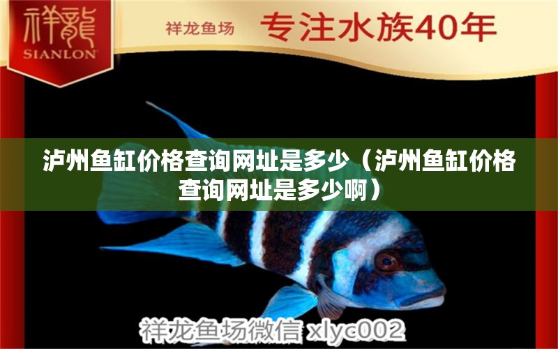 瀘州魚缸價(jià)格查詢網(wǎng)址是多少（瀘州魚缸價(jià)格查詢網(wǎng)址是多少?。? title=