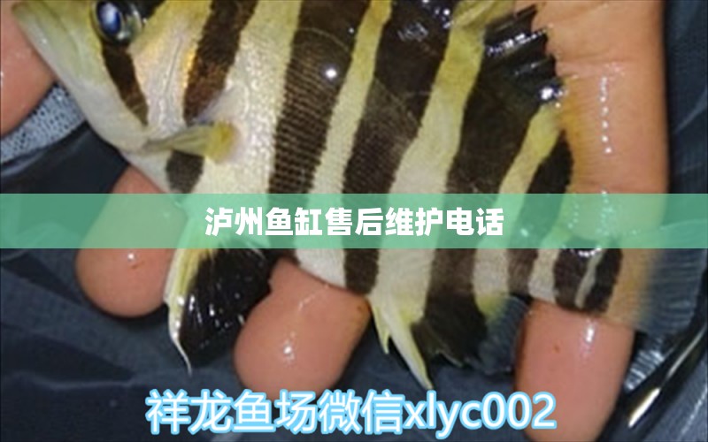 瀘州魚缸售后維護(hù)電話 其他品牌魚缸