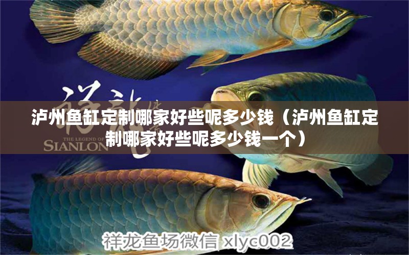 瀘州魚(yú)缸定制哪家好些呢多少錢(qián)（瀘州魚(yú)缸定制哪家好些呢多少錢(qián)一個(gè)）