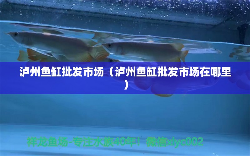 瀘州魚缸批發(fā)市場（瀘州魚缸批發(fā)市場在哪里）