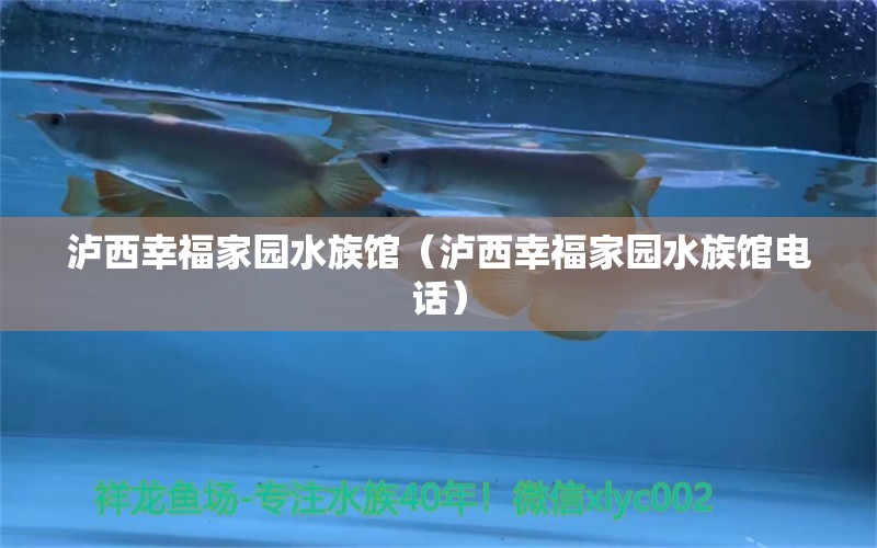 瀘西幸福家園水族館（瀘西幸福家園水族館電話） 全國水族館企業(yè)名錄