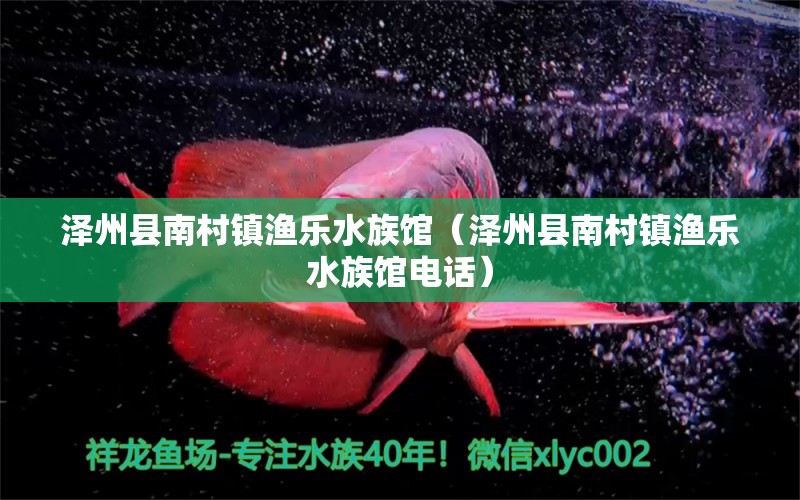 澤州縣南村鎮(zhèn)漁樂水族館（澤州縣南村鎮(zhèn)漁樂水族館電話）