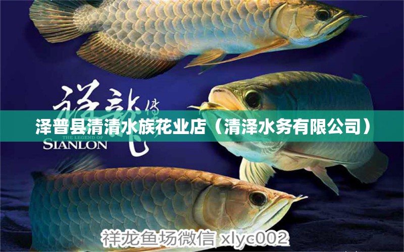 澤普縣清清水族花業(yè)店（清澤水務(wù)有限公司）