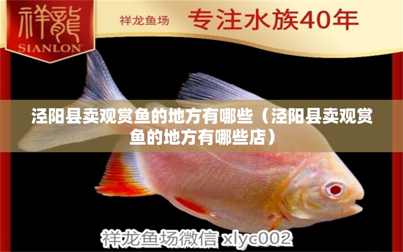 涇陽縣賣觀賞魚的地方有哪些（涇陽縣賣觀賞魚的地方有哪些店） 除藻劑