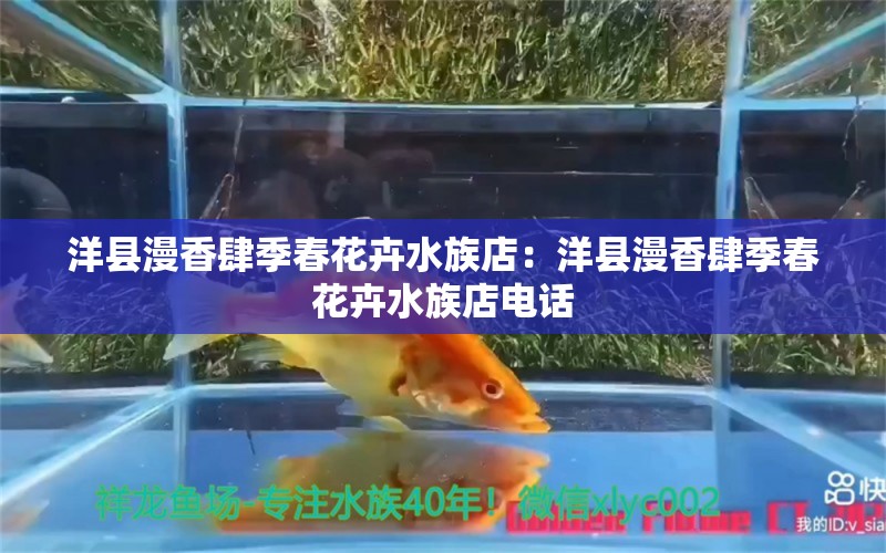 洋縣漫香肆季春花卉水族店：洋縣漫香肆季春花卉水族店電話 全國(guó)水族館企業(yè)名錄