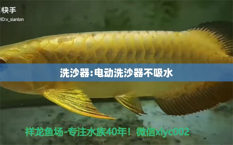 洗沙器:電動洗沙器不吸水 廣州水族器材濾材批發(fā)市場