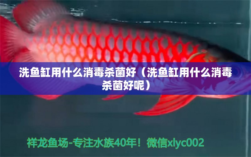 洗魚缸用什么消毒殺菌好（洗魚缸用什么消毒殺菌好呢）