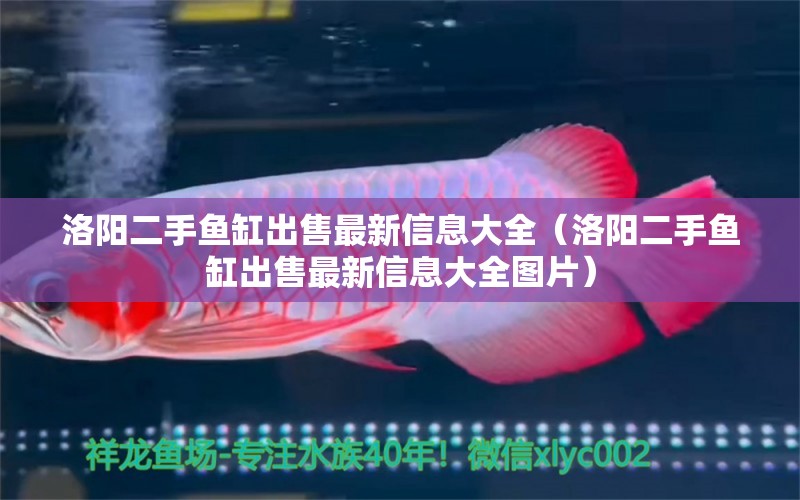 洛陽二手魚缸出售最新信息大全（洛陽二手魚缸出售最新信息大全圖片）