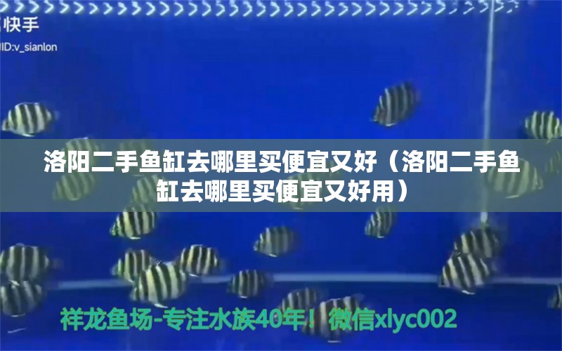 洛陽(yáng)二手魚(yú)缸去哪里買便宜又好（洛陽(yáng)二手魚(yú)缸去哪里買便宜又好用）