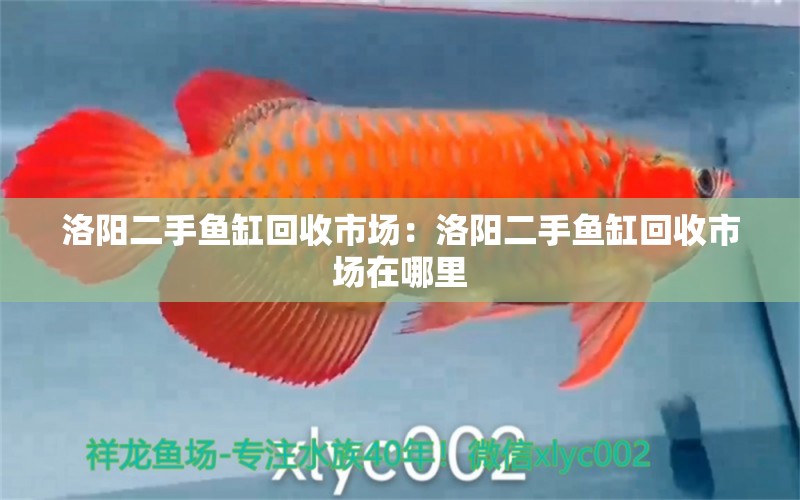 洛陽(yáng)二手魚(yú)缸回收市場(chǎng)：洛陽(yáng)二手魚(yú)缸回收市場(chǎng)在哪里