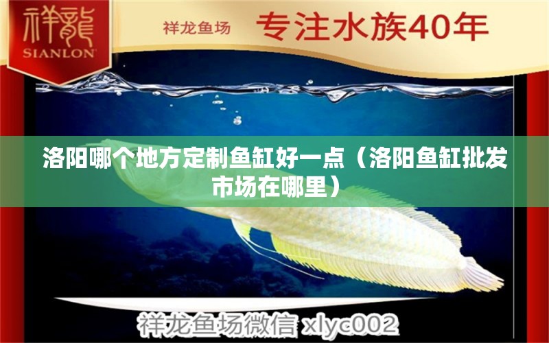 洛陽哪個(gè)地方定制魚缸好一點(diǎn)（洛陽魚缸批發(fā)市場(chǎng)在哪里）