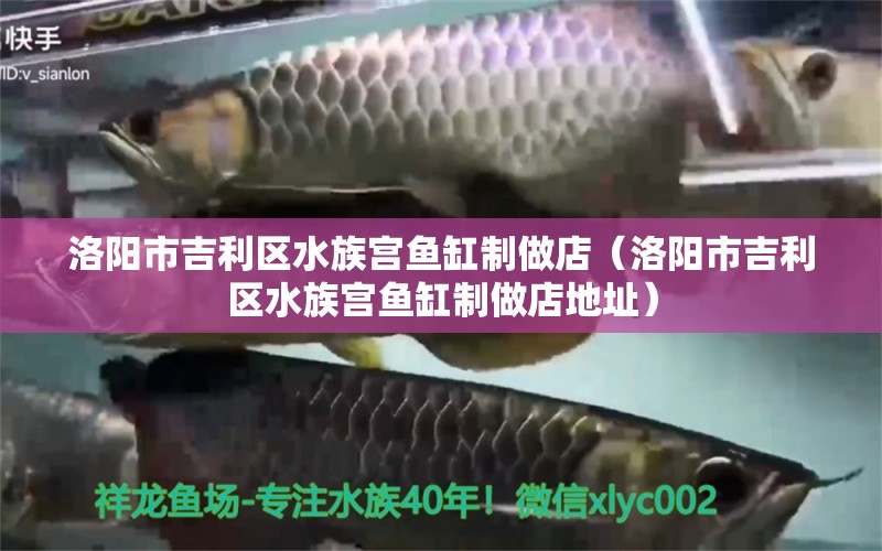 洛陽市吉利區(qū)水族宮魚缸制做店（洛陽市吉利區(qū)水族宮魚缸制做店地址）