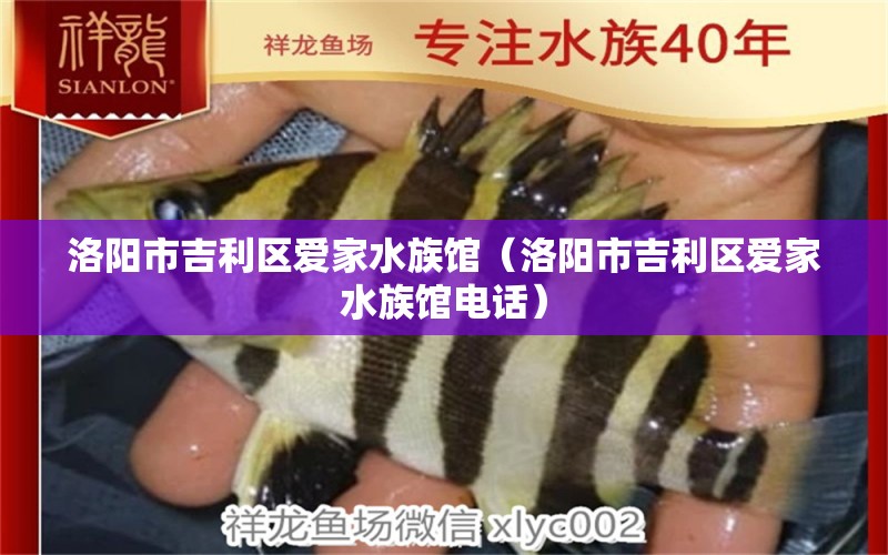 洛陽(yáng)市吉利區(qū)愛(ài)家水族館（洛陽(yáng)市吉利區(qū)愛(ài)家水族館電話） 全國(guó)水族館企業(yè)名錄