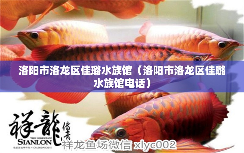 洛陽市洛龍區(qū)佳璐水族館（洛陽市洛龍區(qū)佳璐水族館電話）