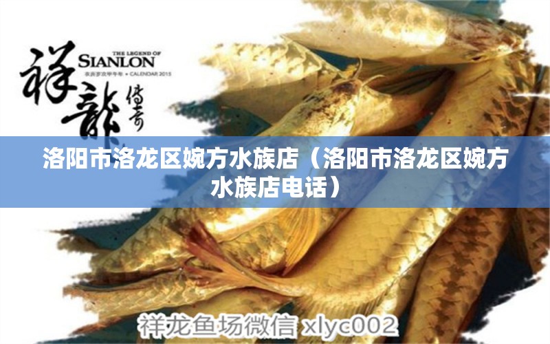 洛陽市洛龍區(qū)婉方水族店（洛陽市洛龍區(qū)婉方水族店電話） 全國水族館企業(yè)名錄