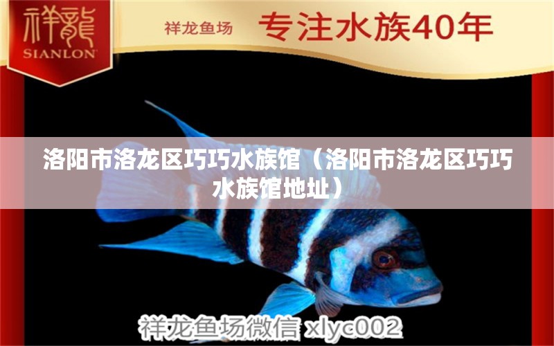 洛陽市洛龍區(qū)巧巧水族館（洛陽市洛龍區(qū)巧巧水族館地址）