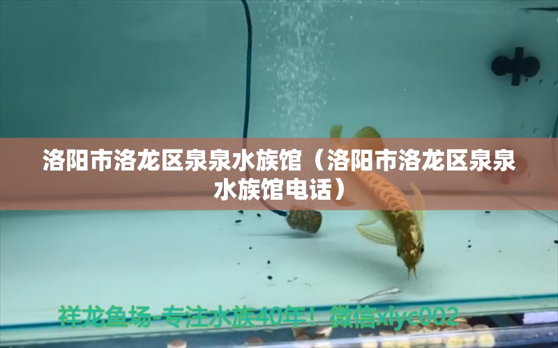 洛陽(yáng)市洛龍區(qū)泉泉水族館（洛陽(yáng)市洛龍區(qū)泉泉水族館電話）