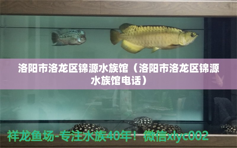 洛陽(yáng)市洛龍區(qū)錦源水族館（洛陽(yáng)市洛龍區(qū)錦源水族館電話）