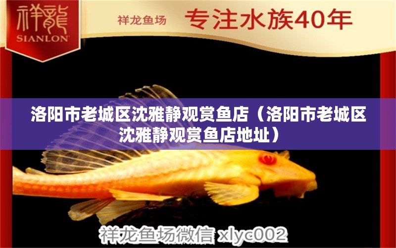 洛陽市老城區(qū)沈雅靜觀賞魚店（洛陽市老城區(qū)沈雅靜觀賞魚店地址） 全國水族館企業(yè)名錄