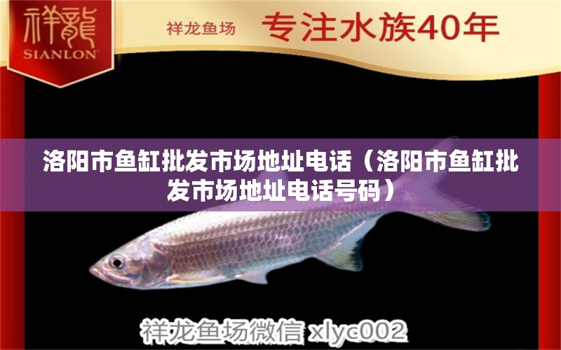 洛陽市魚缸批發(fā)市場地址電話（洛陽市魚缸批發(fā)市場地址電話號碼） 祥龍水族醫(yī)院