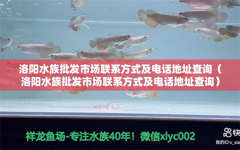 洛陽水族批發(fā)市場聯(lián)系方式及電話地址查詢（洛陽水族批發(fā)市場聯(lián)系方式及電話地址查詢）