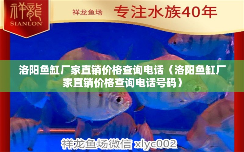 洛陽(yáng)魚(yú)缸廠家直銷價(jià)格查詢電話（洛陽(yáng)魚(yú)缸廠家直銷價(jià)格查詢電話號(hào)碼）